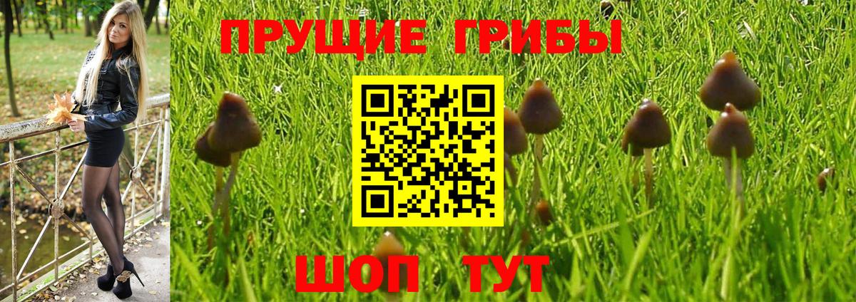 Галлюциногенные грибы мухоморы  Вход с VPN  Псилоцибиновые грибы MAGIC MUSHROOMS  Прохладный 