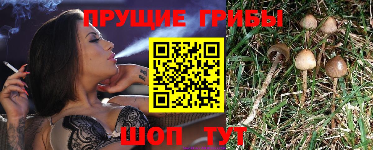 Галлюциногенные грибы MAGIC MUSHROOMS Прохладный