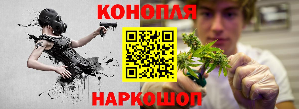Шишки марихуана план Прохладный